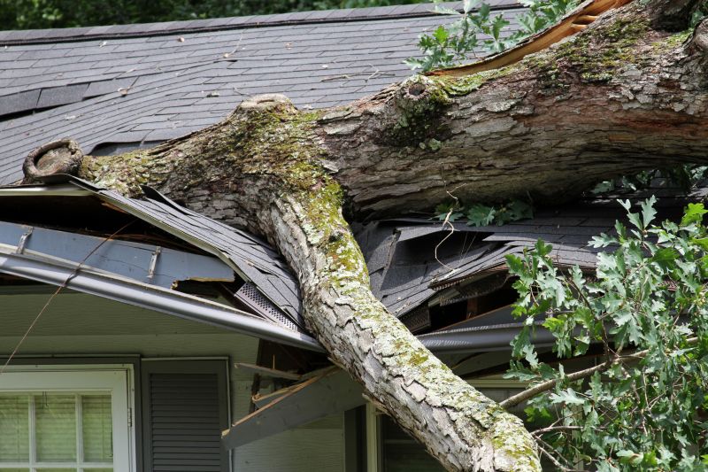 Storm Damage Cleanup detail