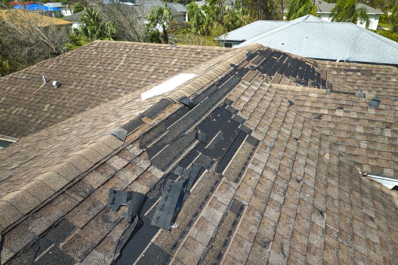 Roof Restoration