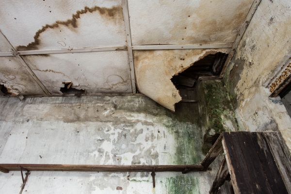 Cost of Water Damage Service in Bethesda