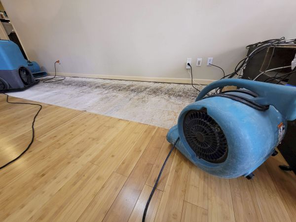 Cost of Water Damage Mitigation in Bethesda