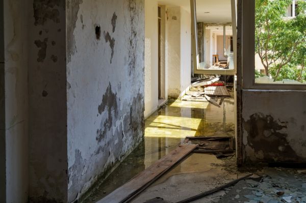 Cost of Water Removal Service in Bethesda