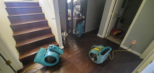 Cost of Water Damage Remediation in Bethesda