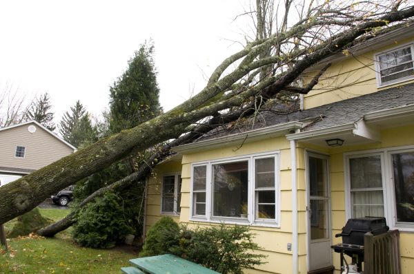 Cost of Hurricane Damage Repair in Bethesda